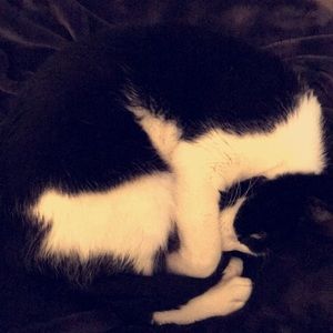 Meet your Posher, Luke